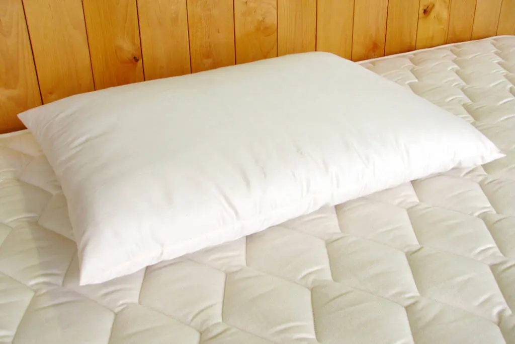 Organic wool pillow, certified organic, hand-built with organic wool and cotton