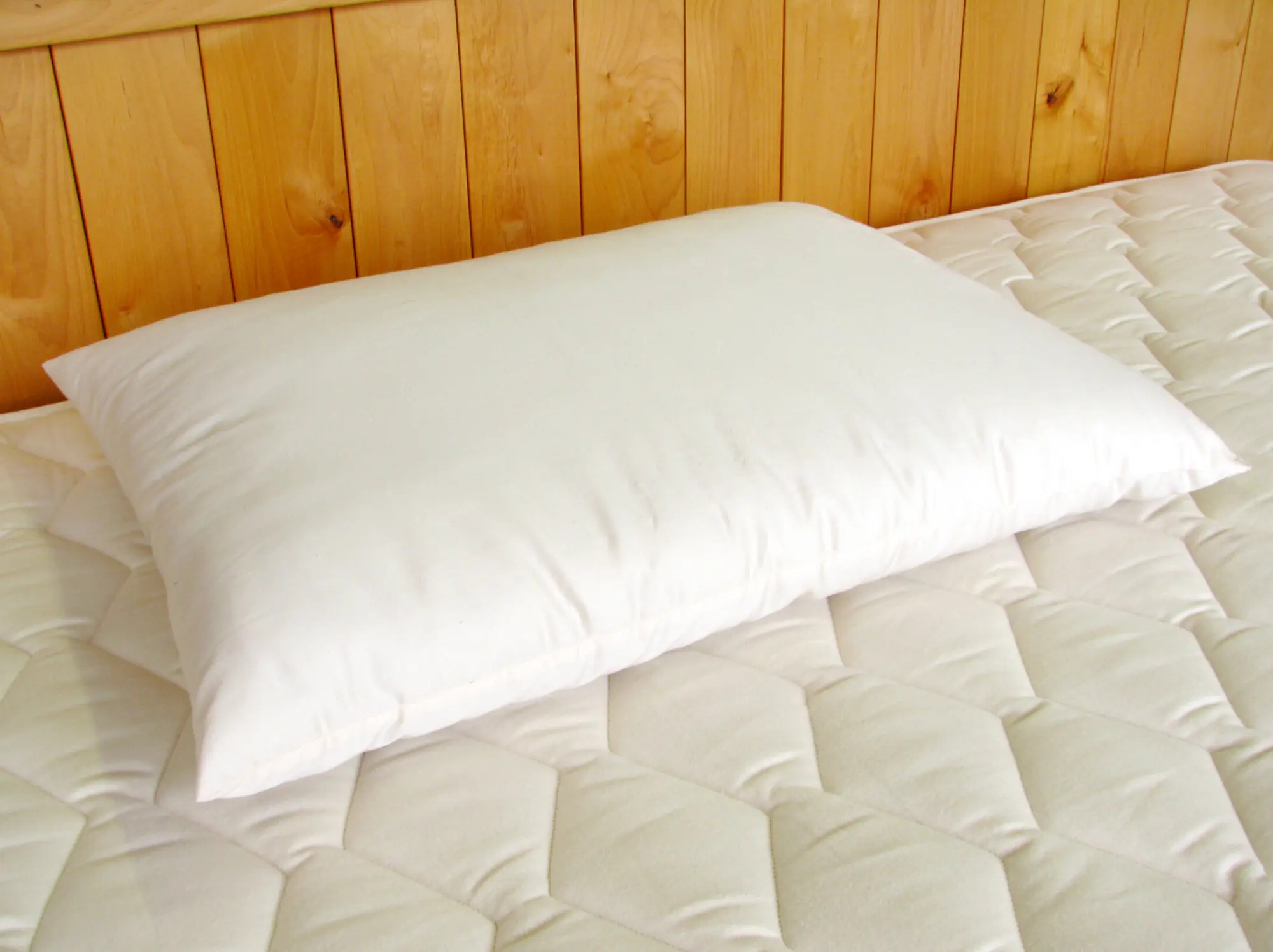 Organic wool pillow by Sleeping Organic, certified organic wool and cotton