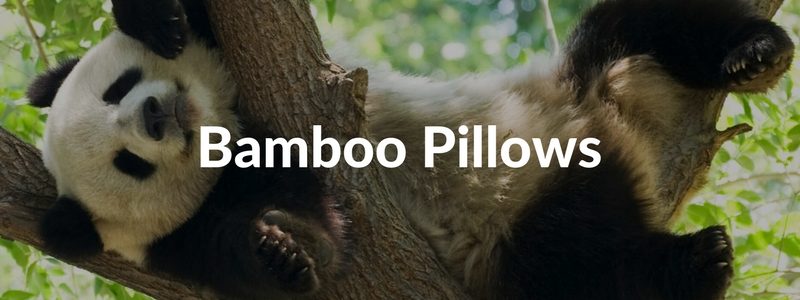 bamboo-pillows-analysis