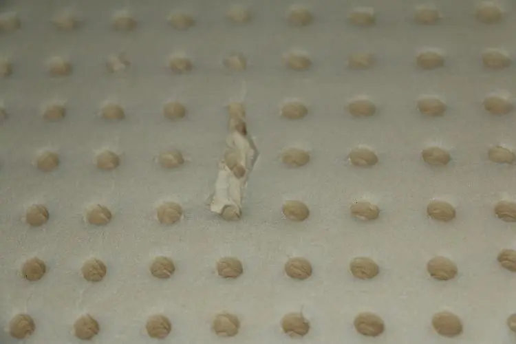 Another example of a normal void in natural latex foam
