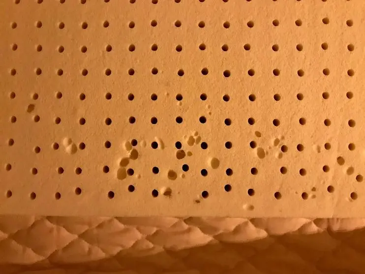 Micro bubble voids in natural latex, normal variation from baking process