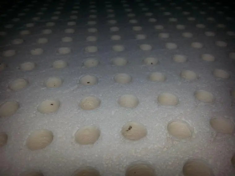 Burnt specs on organic latex topper surface, residual latex from the baking mold