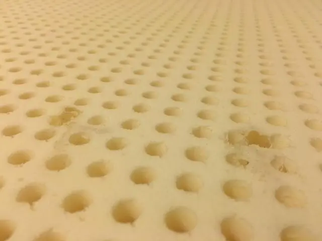 Void in organic latex foam caused by air bubbles during the baking process