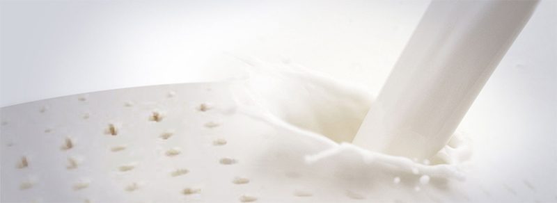 latex mattress durability