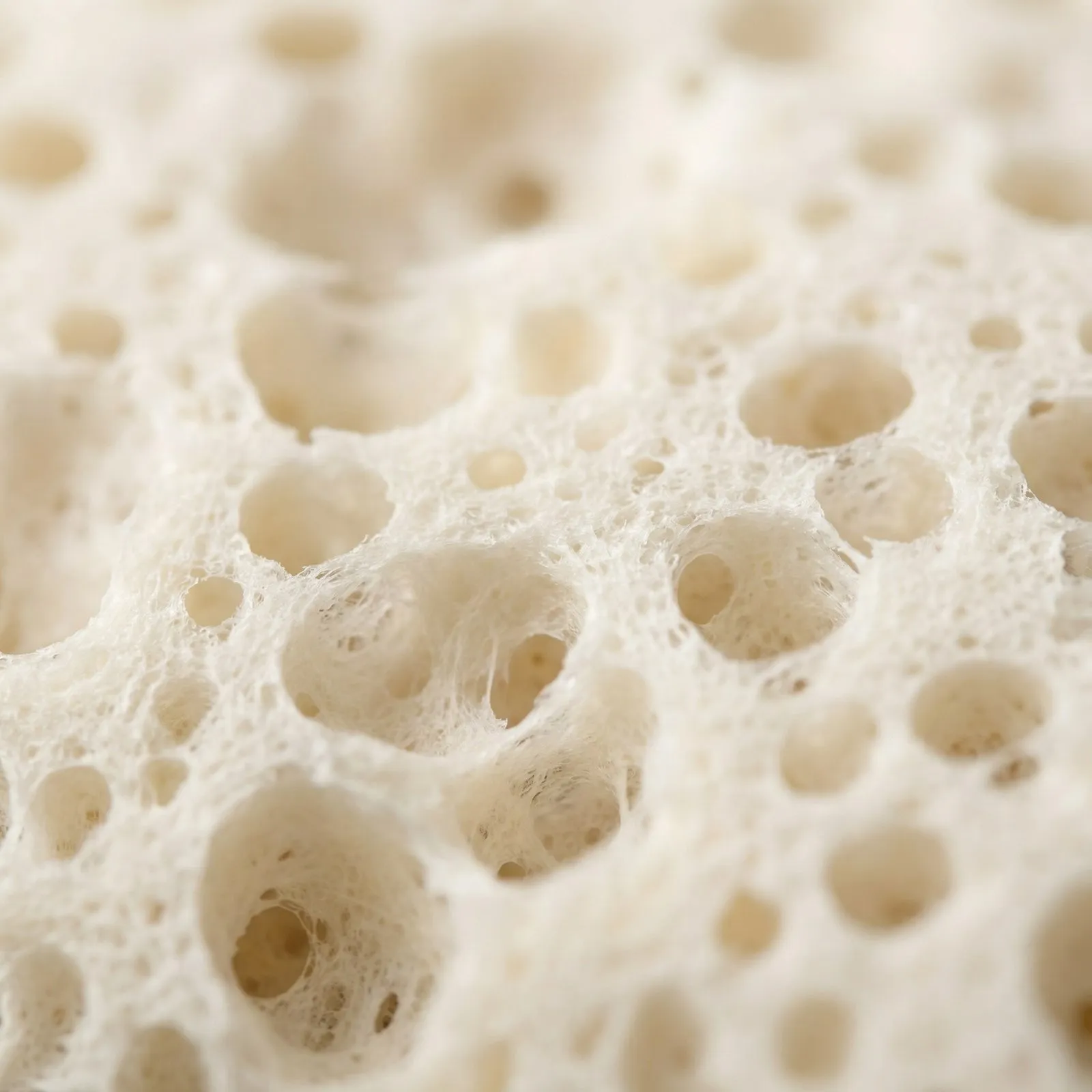 Natural latex mattress foam showing breathable open-cell structure