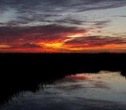 8 Beautiful Spots to Catch The Sunrise in Charleston, SC - Sleeping Organic