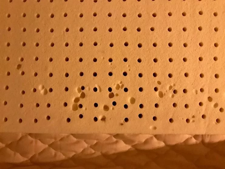 Natural and organic latex used in vegan latex mattresses