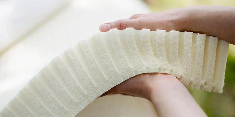 Talalay Latex - Where can I Buy Organic Talalay Latex?