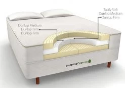 Best Queen Size Latex Mattress
