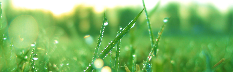 Benefits of organic mattress materials